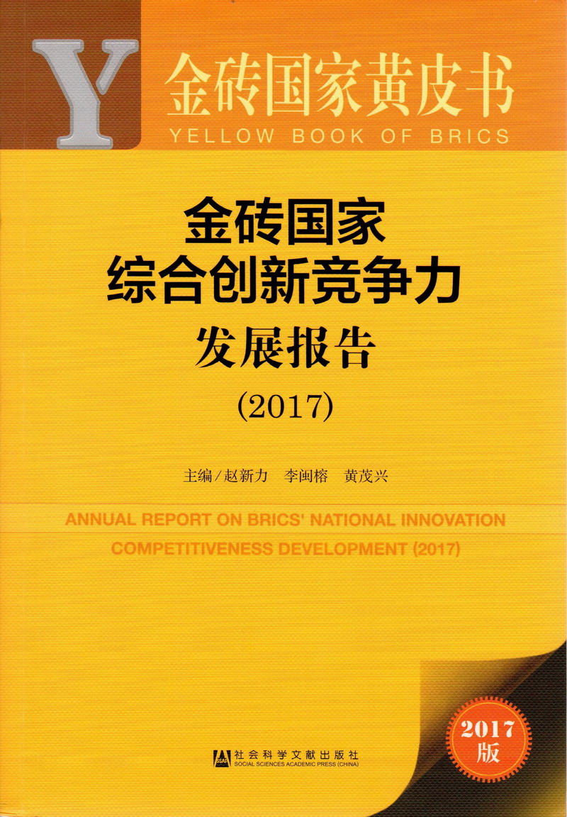 啊啊啊~不要好痛，下面湿透了。金砖国家综合创新竞争力发展报告（2017）